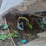 1_whatsapp-image-2026-01-14-at-11-01-55-63226058