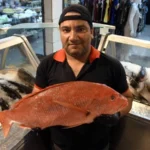 Entenda o aumento de preço dos pescados nesta época do ano