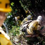Rajada de vento faz ICMBio cancelar queima prevista no Parque Nacional de Brasília