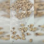 mulher tenta levar droga em castanhas a presídio do DF