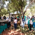Parque da Cidade recebe feira de adoção de animais neste sábado (30/5)