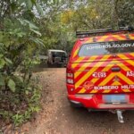Mulher morre ao ser atropelada pelo próprio carro em fazenda