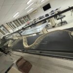 Museu de Biologia da UnB inaugura exposição sobre serpentes