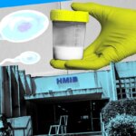 Falta de banco de sêmen afeta casais homoafetivos que buscam reprodução no Hmib