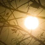 Após dia mais quente do ano, Inmet prevê mais calorão no DF neste domingo