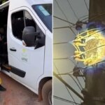 Enxame de abelhas ataca estudantes e colaboradores de Apae em Goiás