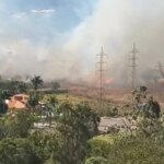 Incêndio de grandes proporções atinge vegetação em Águas Claras