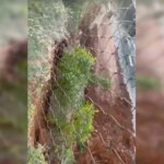Obra “faraônica” de mansão invade área pública e destrói quintal de vizinho