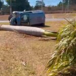 Motorista fica ferido após bater em árvore e capotar no Lago Norte
