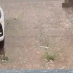 Chuva com queda de granizo é registrada em diferentes regiões do DF