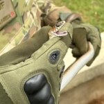 Cobra é encontrada dentro de escola no Lago Sul e resgatada pela polícia