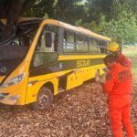 Ônibus escolar com 27 crianças bate em árvore e duas vão para o hospital