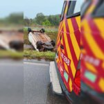 Carro capota durante forte chuva na BR-070; quatro pessoas ficaram feridas